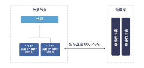 英特爾傲騰技術 高效解決冷數據存儲挑戰，賦能數據處理與存儲服務