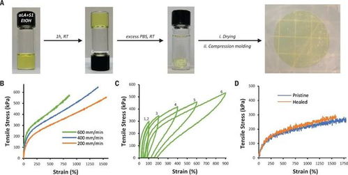 粘合劑,登上science正刊